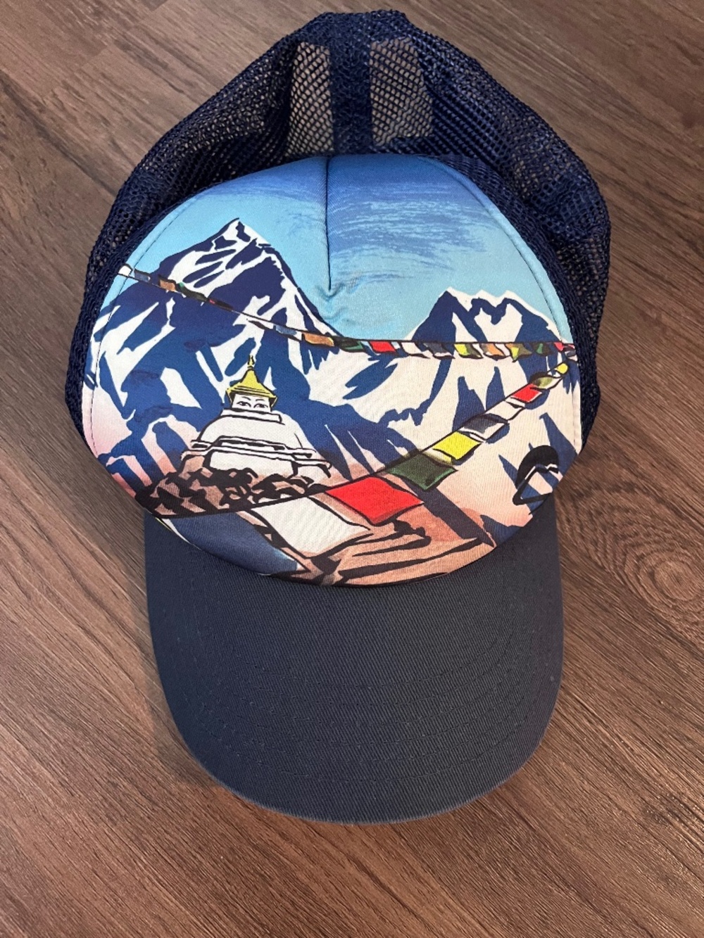 Sunday Afternoons “Everest” artist series hat